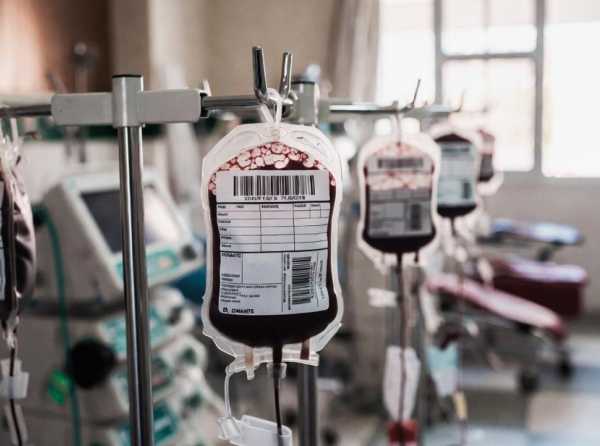 Bancos de sangre, sistema inform&aacute;tico e historia cl&iacute;nica electr&oacute;nica
