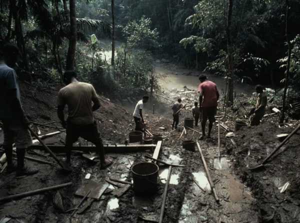 Miner&iacute;a criminal
