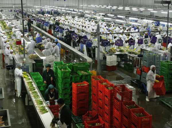 Agroexportación y Obras por Impuestos