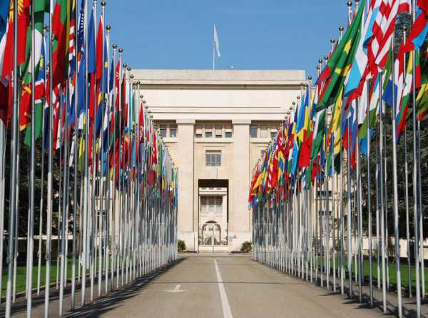 Educaci&oacute;n para una cultura de paz