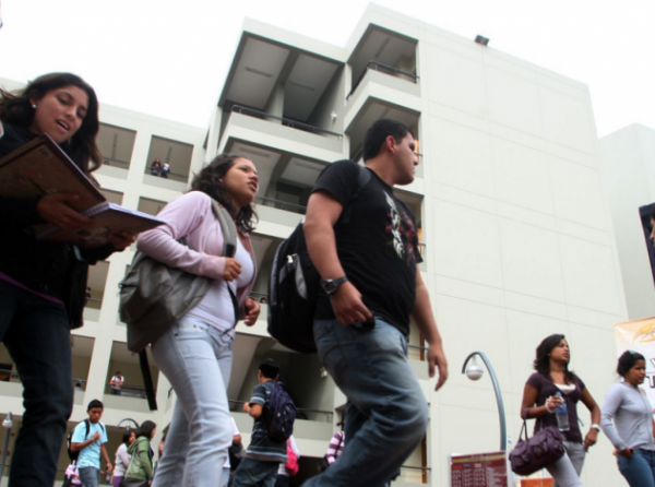 Constitución promueve diversos modelos de universidad