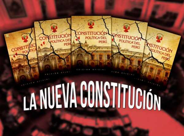 La nueva constituci&oacute;n