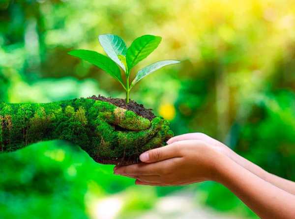 Día Mundial del Ambiente