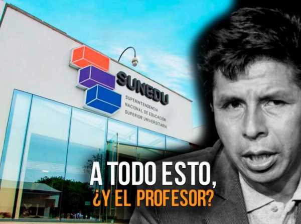 A todo esto, ¿y el profesor?