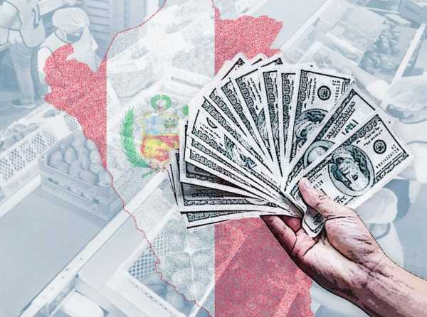 La ley de promoción agraria y la involución del debate económico