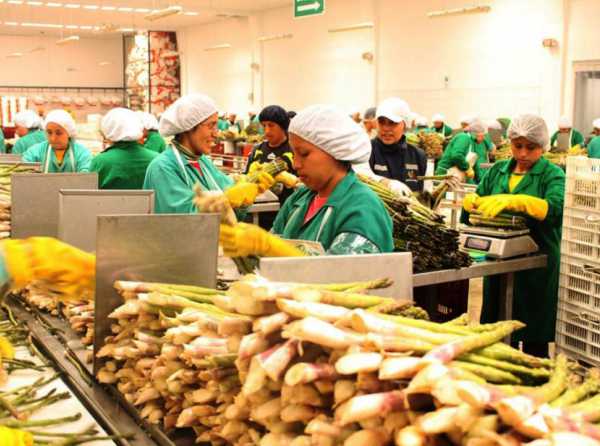 Empuje del sector agrícola no se detiene