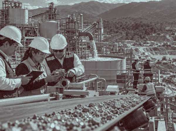 Plantas de beneficio pasan a r&eacute;gimen general de fiscalizaci&oacute;n