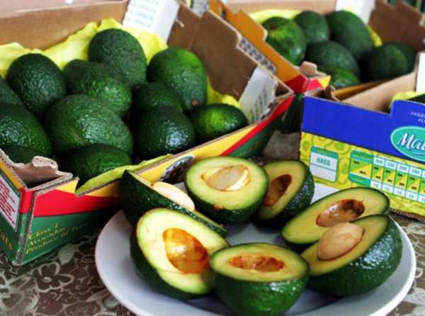 El oro verde en los mercados del mundo
