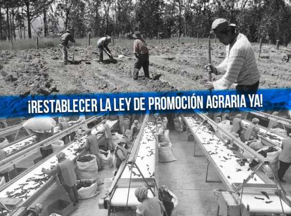 ¡Restablecer la Ley de Promoción Agraria ya!