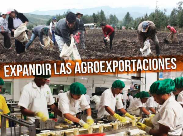 Reto 2020: expandir las agroexportaciones