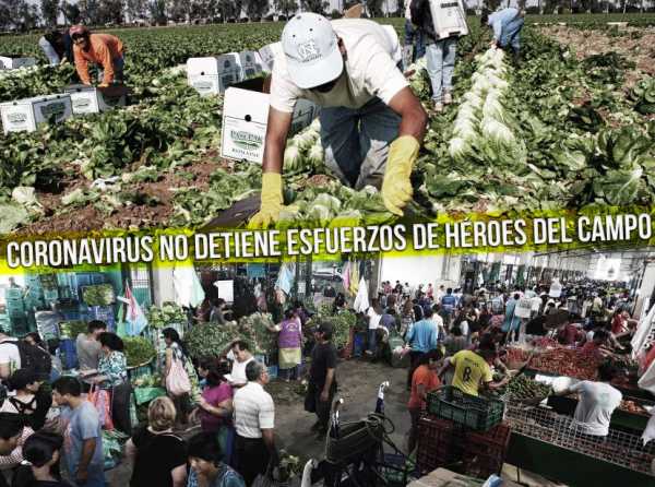 Empresarios agrarios garantizan cadena alimentaria