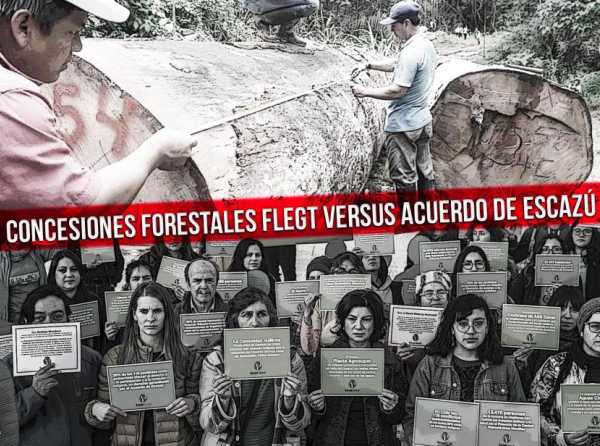 Concesiones forestales FLEGT versus Acuerdo de Escazú