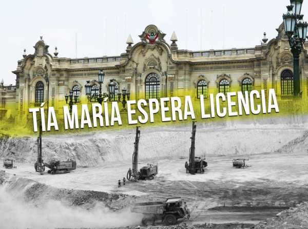 Tía María espera licencia