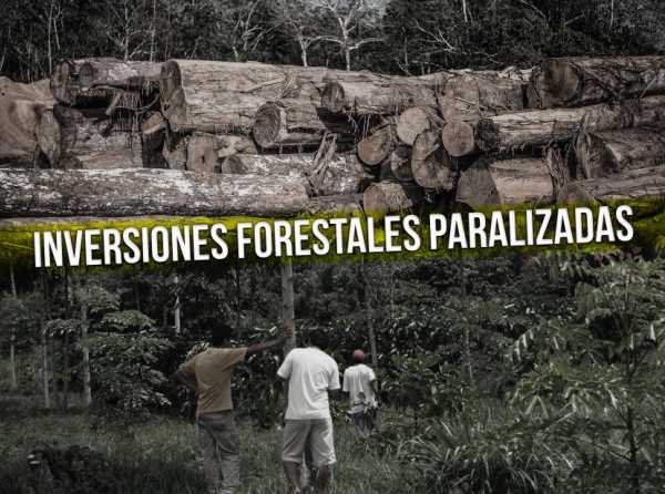Inversiones forestales paralizadas