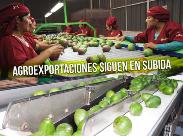 Agroexportaciones siguen en subida