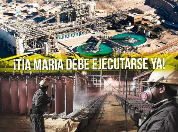 Urgente: ¡Tía María debe ejecutarse ya!