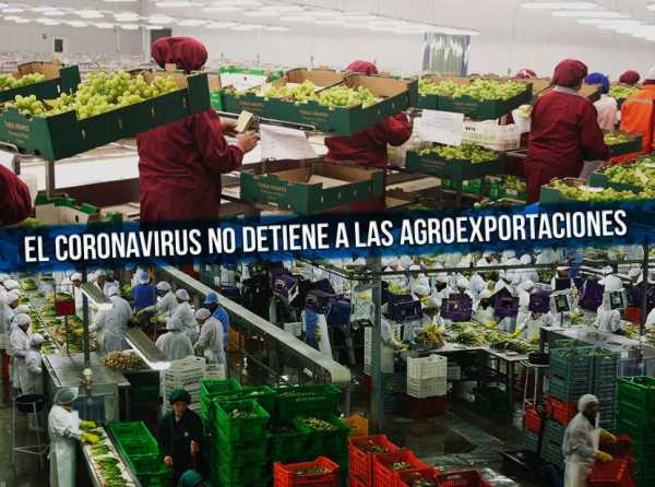 El coronavirus no detiene a las agroexportaciones