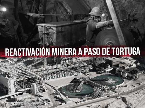 Reactivación minera a paso de tortuga