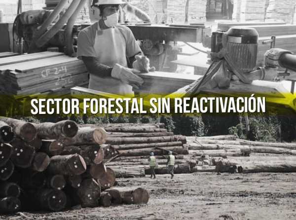 Sector forestal sin reactivación
