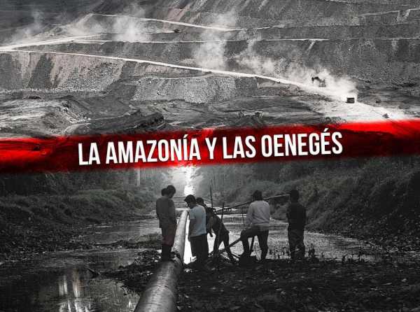 La amazon&iacute;a y las oeneg&eacute;s