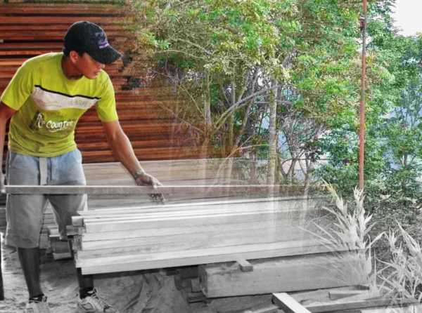 Sector forestal sigue cayendo