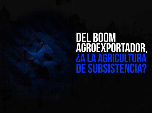 Del boom agroexportador, ¿a la agricultura de subsistencia?