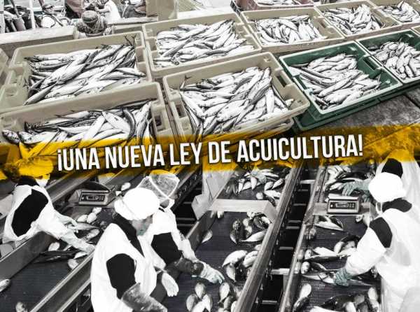 ¡Una nueva ley de acuicultura!