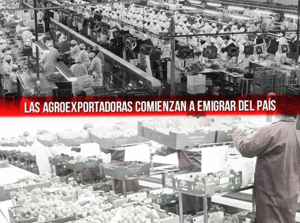 Las agroexportadoras comienzan a emigrar del país