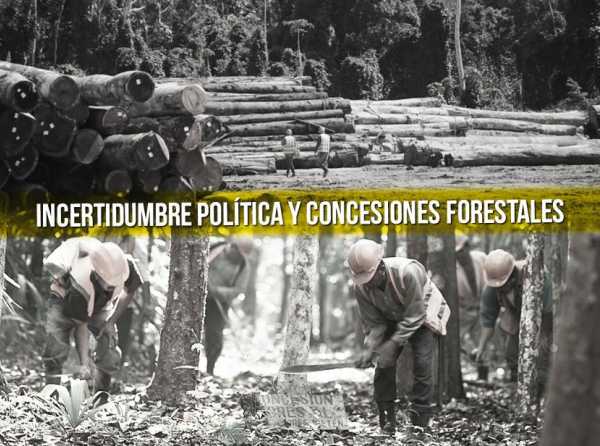 Incertidumbre política y concesiones forestales