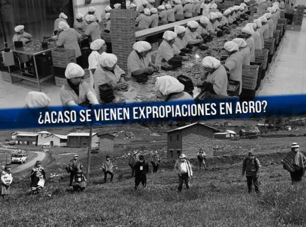 Se pretendió excluir al sector agroexportador, ¿acaso se vienen expropiaciones?