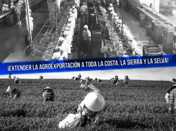 ¡Extender la agroexportación a toda la costa, la sierra y la selva!
