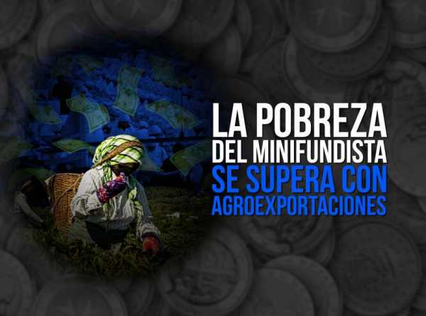La pobreza del minifundista se supera con agroexportaciones