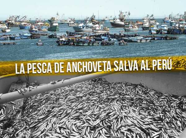 La pesca de anchoveta salva al Per&uacute;