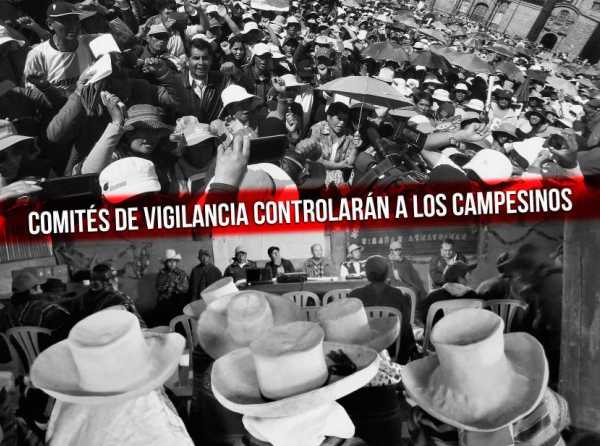 Comités de vigilancia controlarán a los campesinos