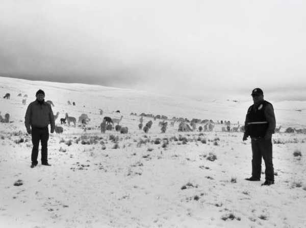 Heladas siguen cobrando v&iacute;ctimas