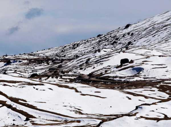 Helada desnuda inoperancia del Estado