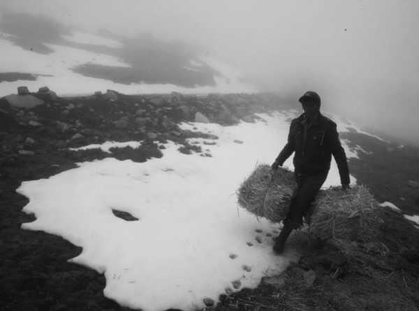 Ejecutivo no reacciona frente a heladas y friajes