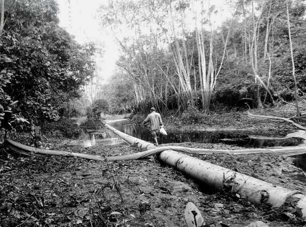 Estado se rinde en Oleoducto Norperuano