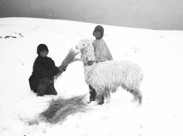 Heladas y friaje siguen cobrando v&iacute;ctimas