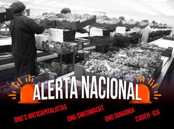 &iexcl;Milagro de Ica bajo ataque!