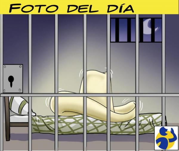 Caricatura del d&iacute;a #2227