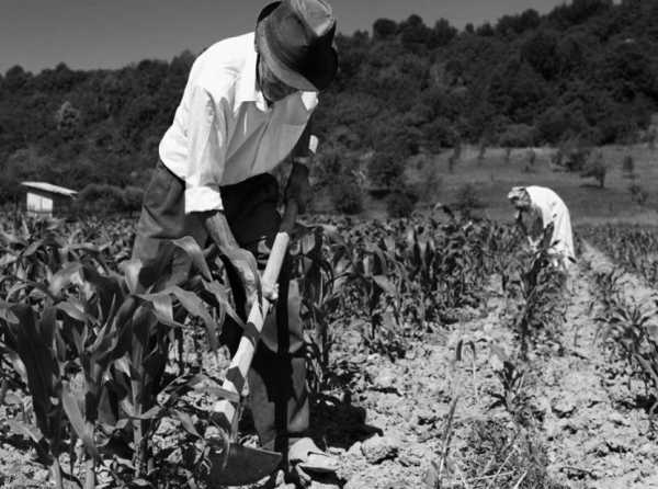 Tecnolog&iacute;as y alianzas p&uacute;blico-privadas para la formalizaci&oacute;n