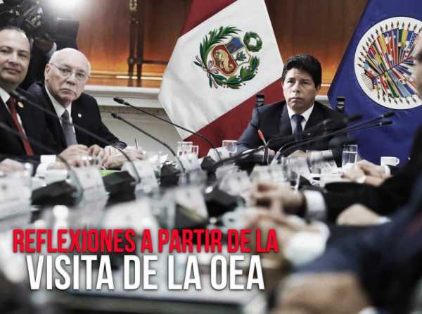 Reflexiones a partir de la visita de la OEA