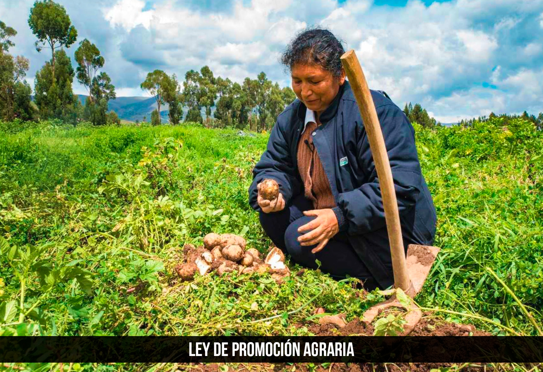 Ley de Promoción Agraria