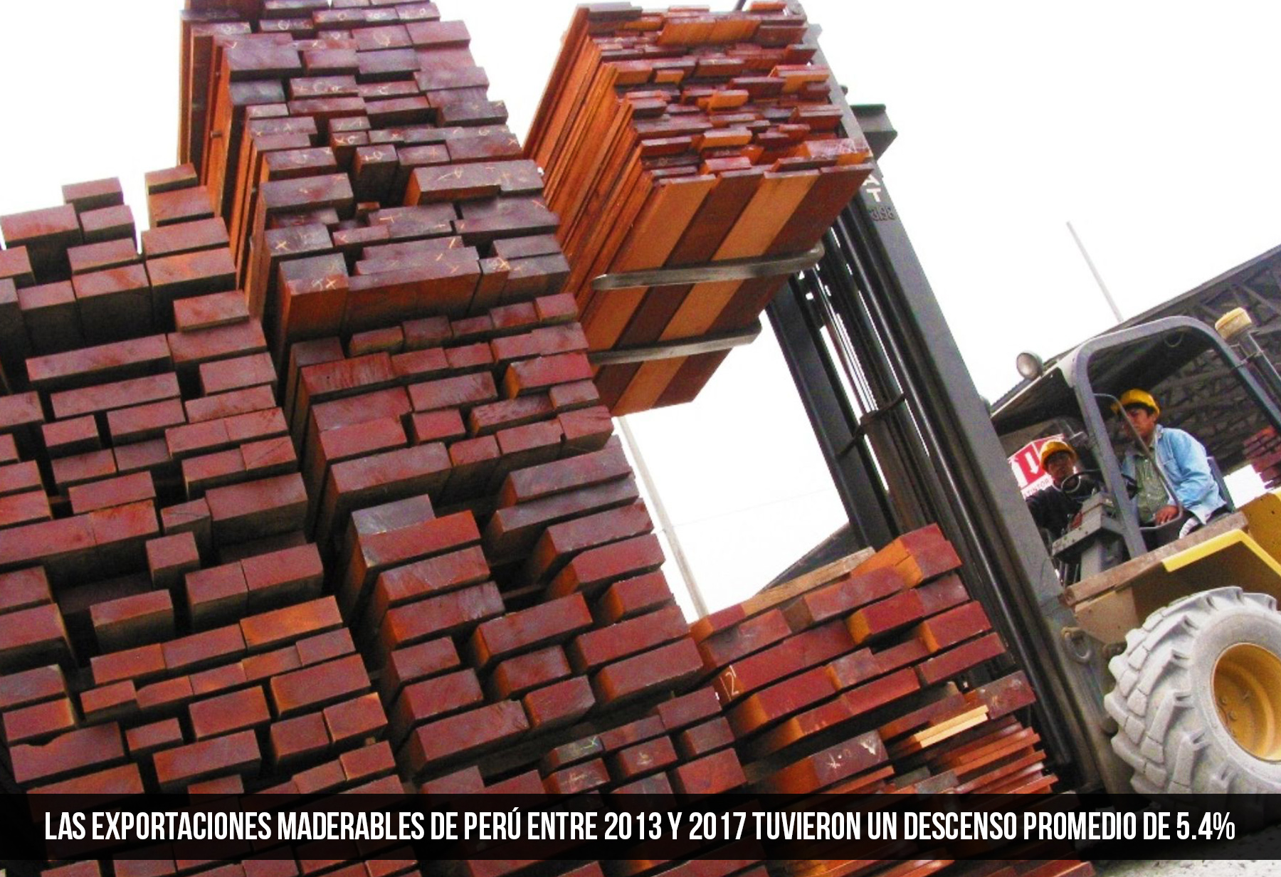 exportaciones maderables
