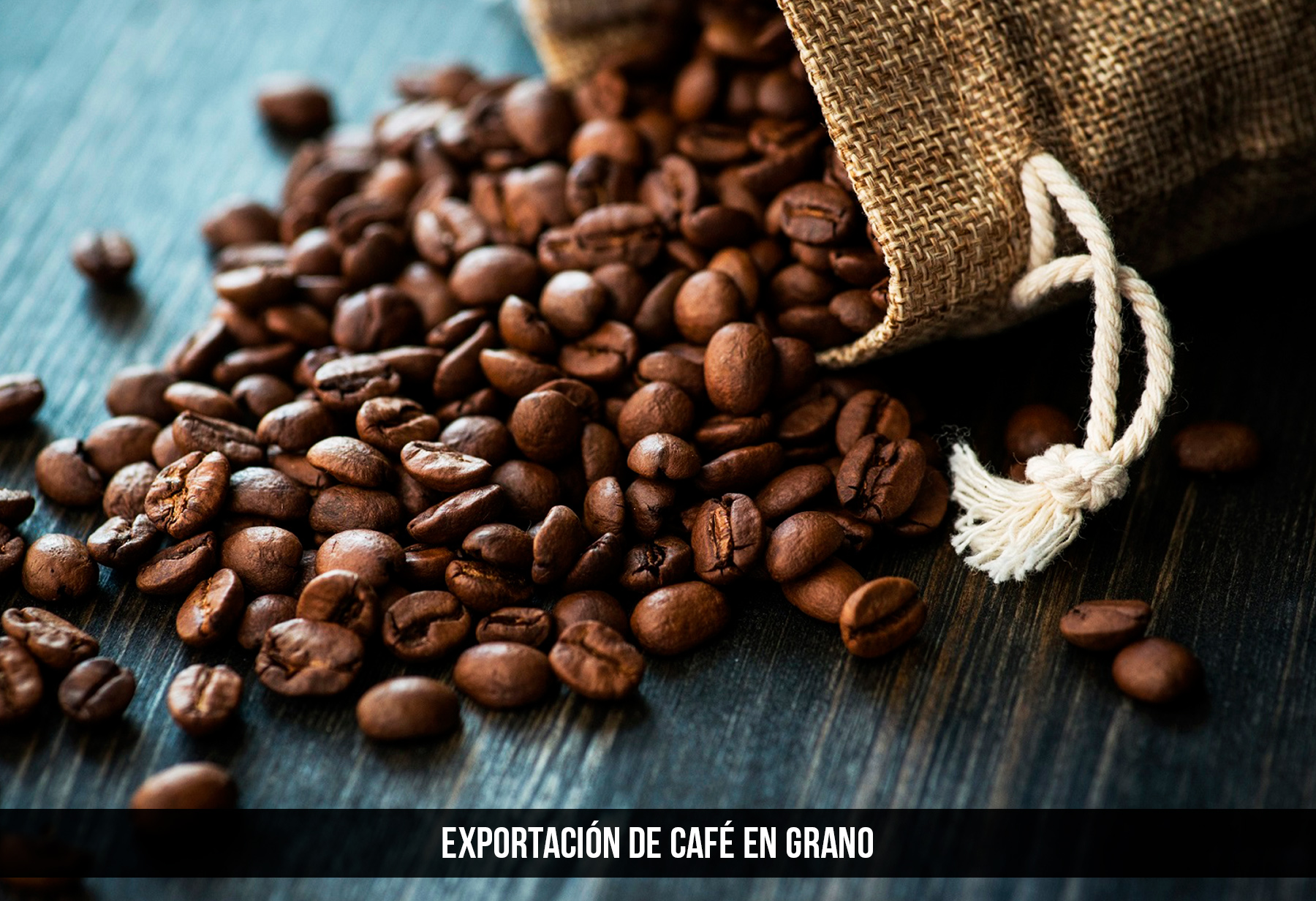 Exportacion de cafe