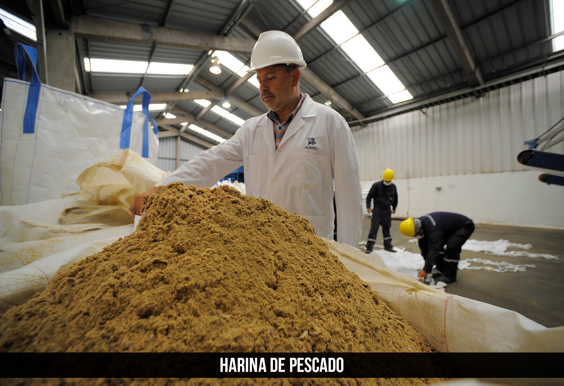 harina de pescado