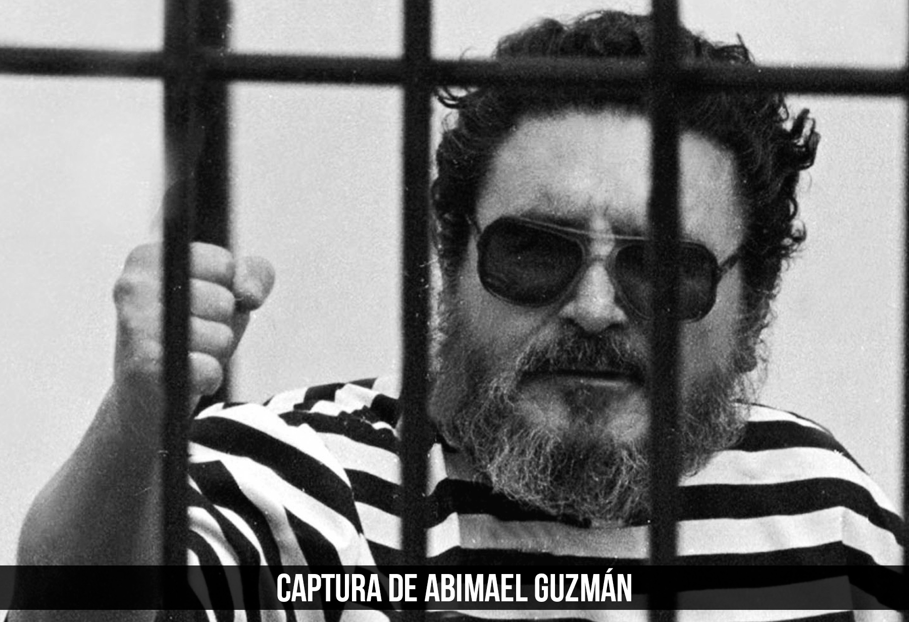 La captura de Guzm&aacute;n