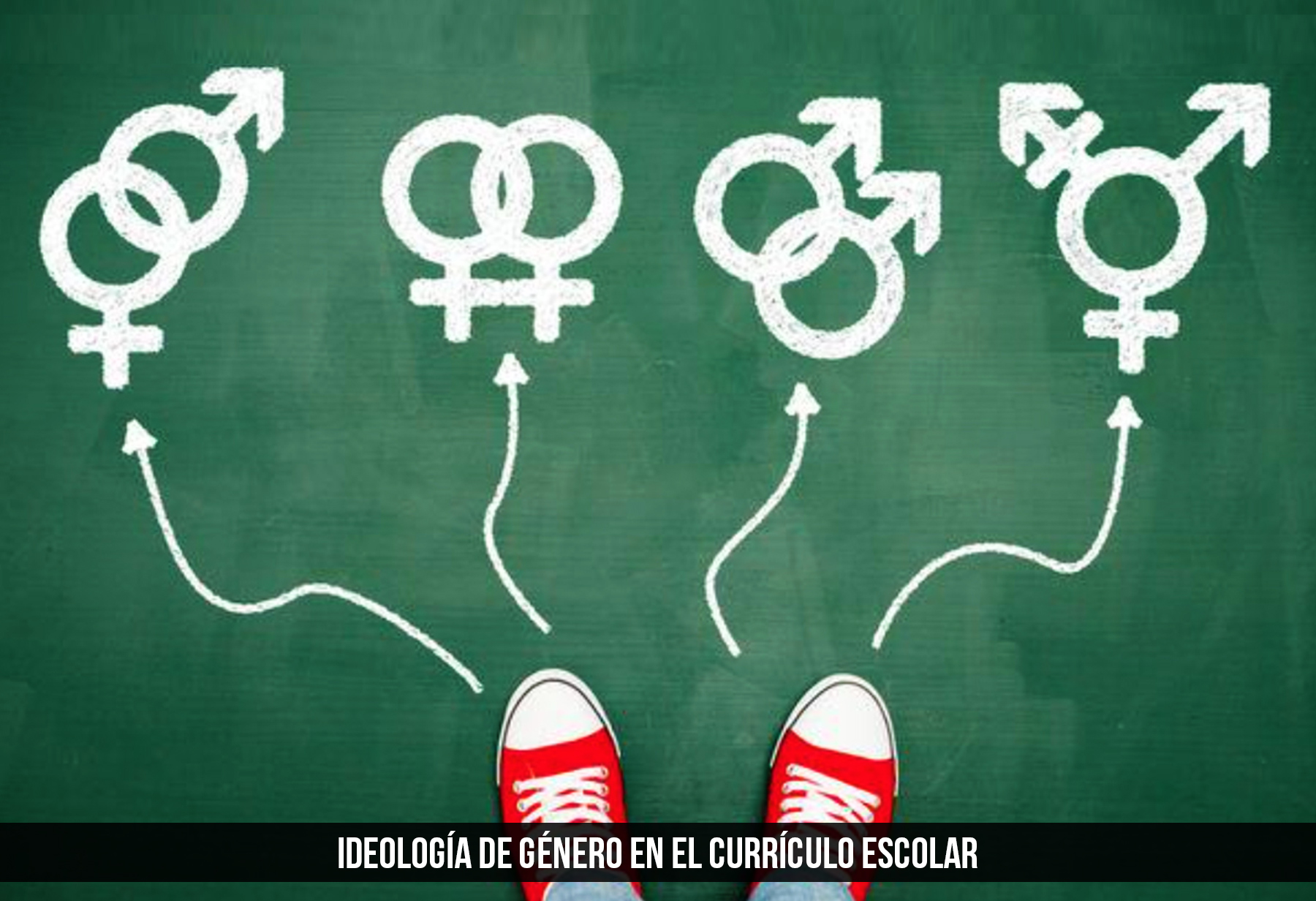 ideolog&iacute;a de genero