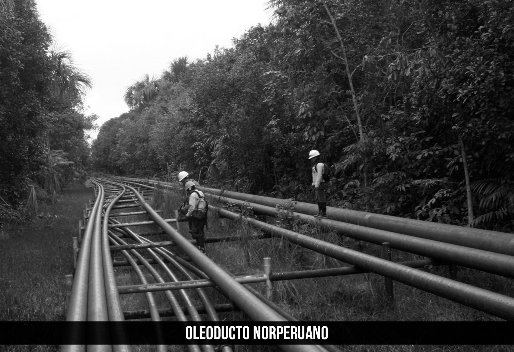 Oleoducto Norperuano